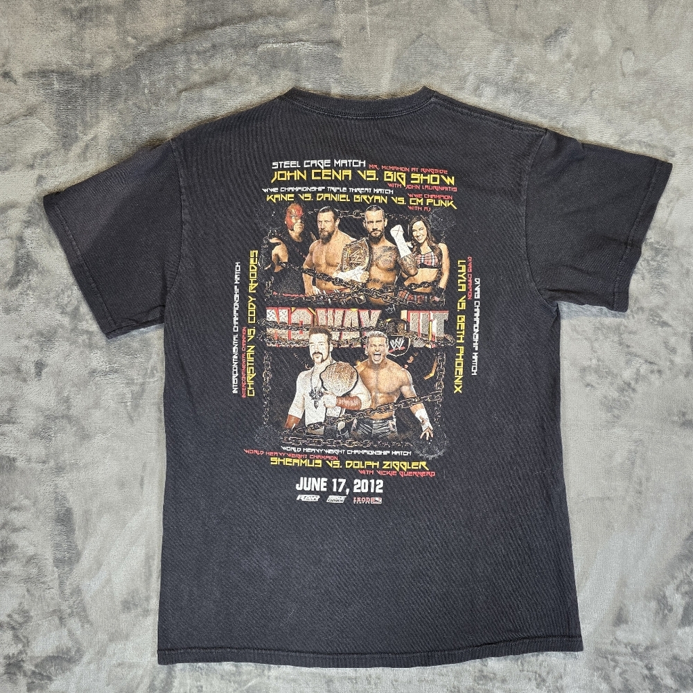 WWE No Way Out Steel Cage Size Medium Cena Big Show Rhodes Sheamus Punk Kane - Picture 4 of 5